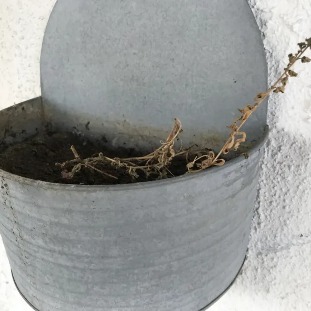 Plants and Pots