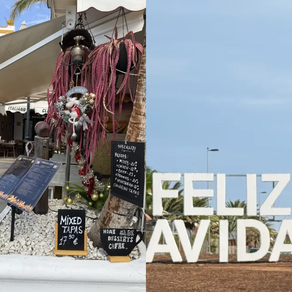 Festive and Holiday Signs