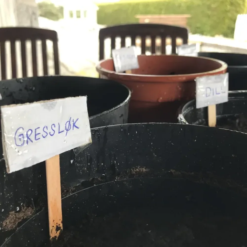 Herb Labels