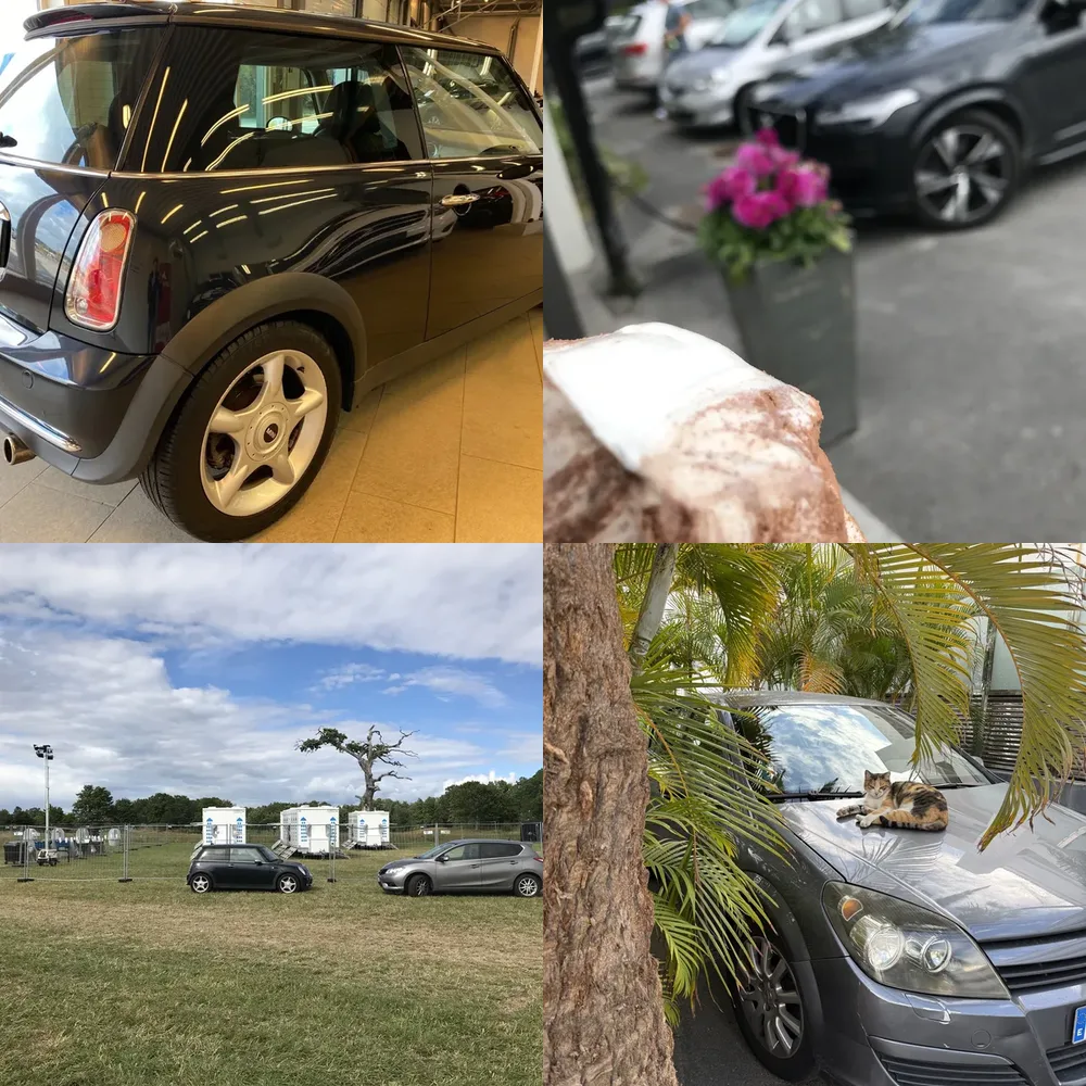 Cars and Nature