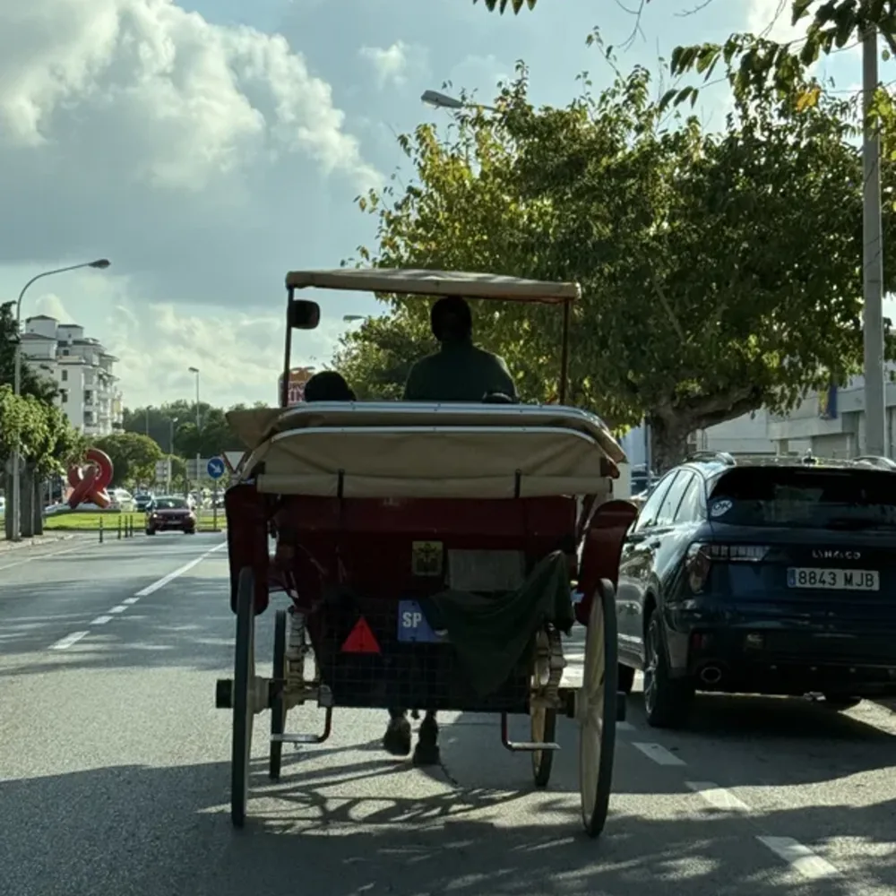 Horse Carriages and Street Scenes