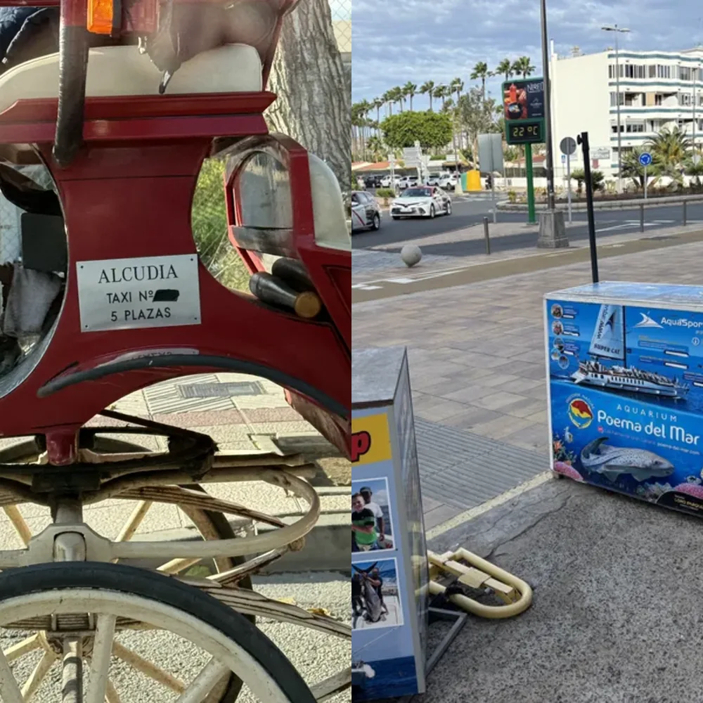 Land Transportation
