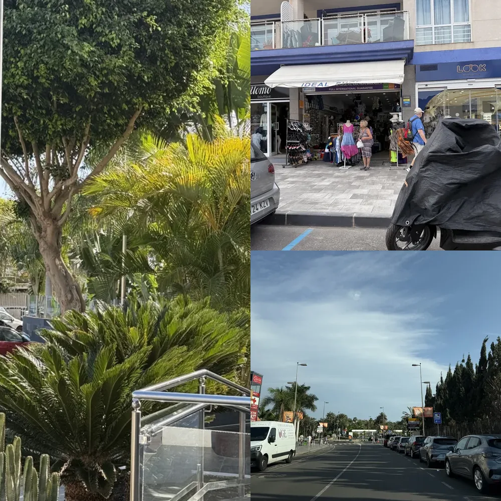 Street Vehicles and Urban Parking